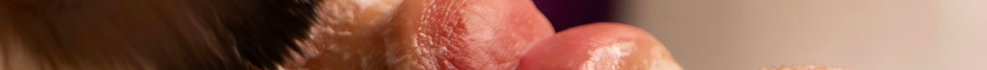 Aplicación de crema blanca con brocha sobre el rostro